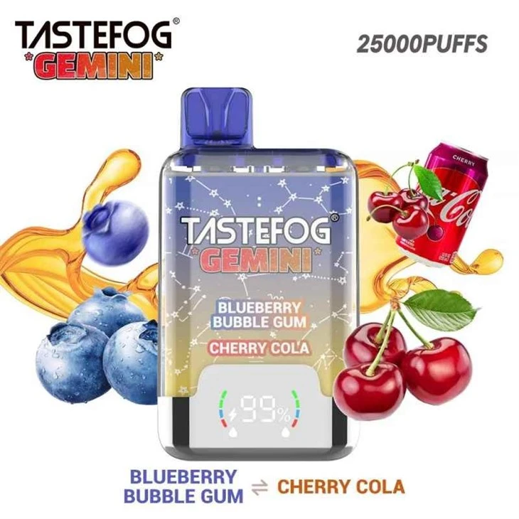 Tastefog Gemini 25000 Puffs